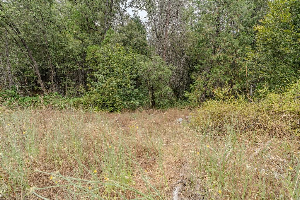 18101 Old River Road Fiddletown, CA 95629 - Photo 8 of 53 Gallery Image 8