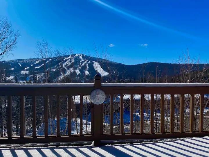 36 E Silver Birch, Unit 133 West Dover, VT 05356 - Photo 26 of 26