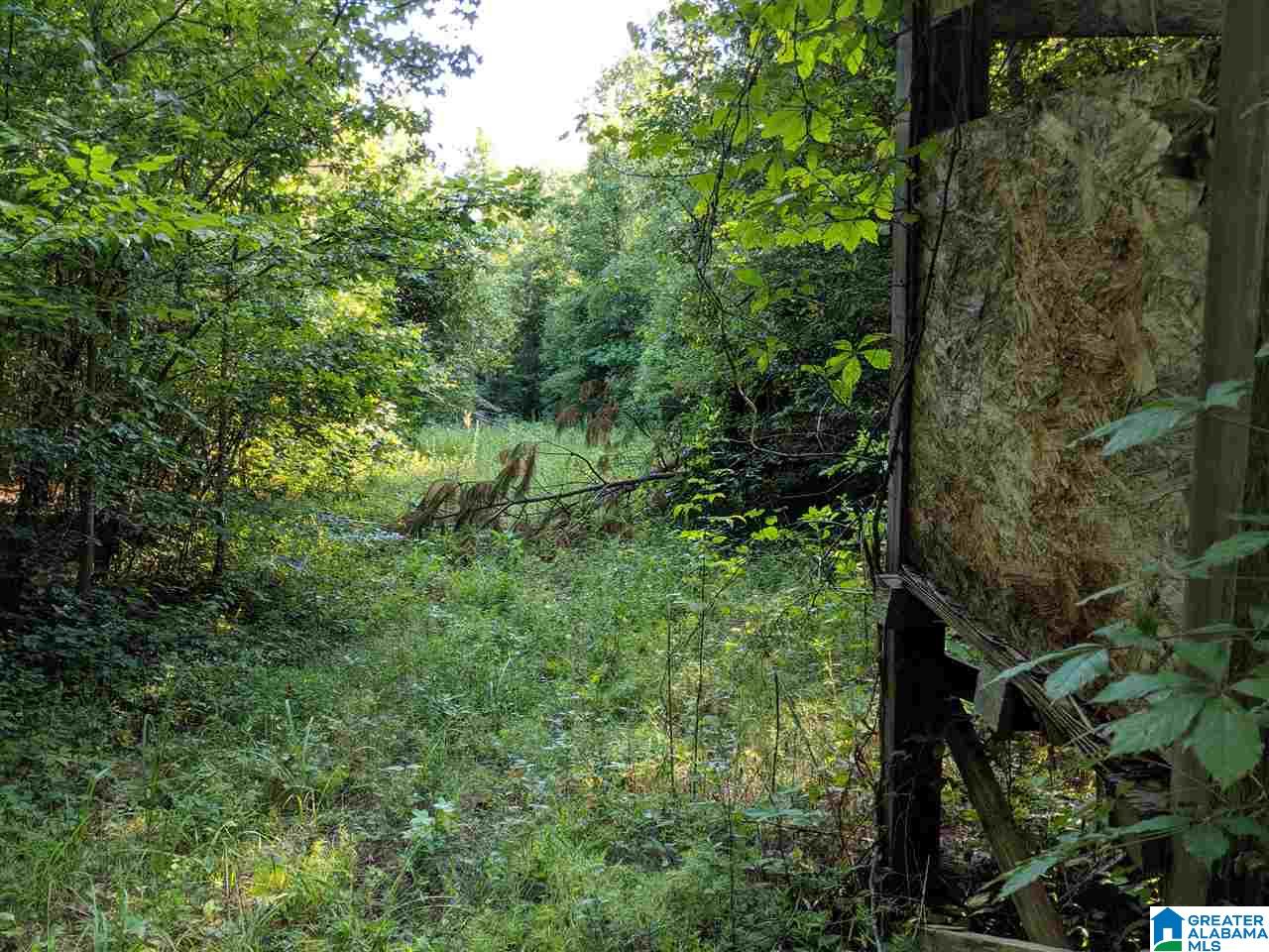 0 County Road 26 Wadley, AL 36276 - Photo 11 of 17