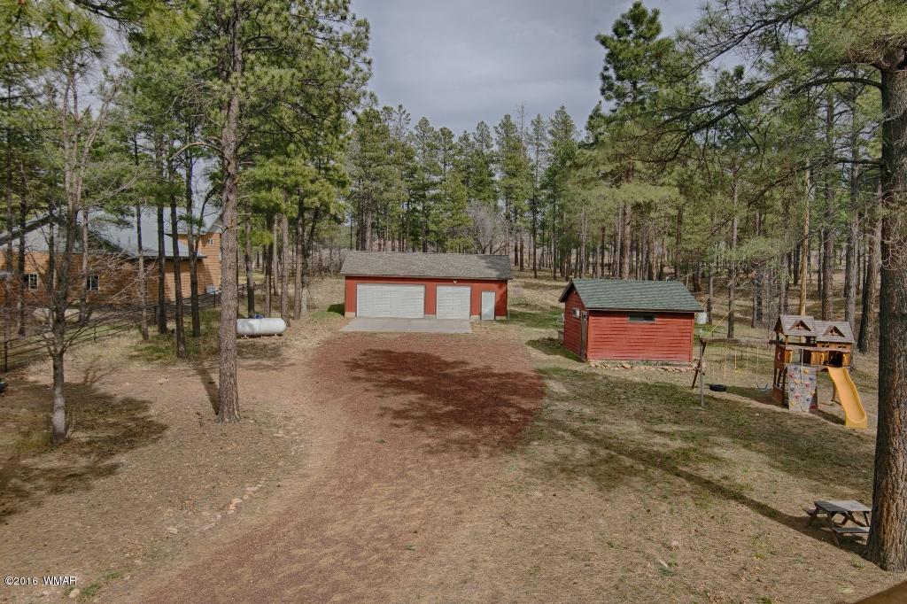 561-529 Rim Drive Pinedale, AZ 85934 - Photo 23 of 93