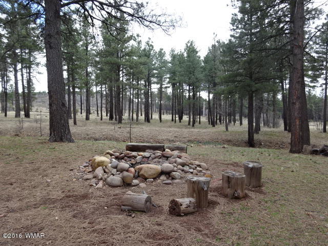 561-529 Rim Drive Pinedale, AZ 85934 - Photo 28 of 93