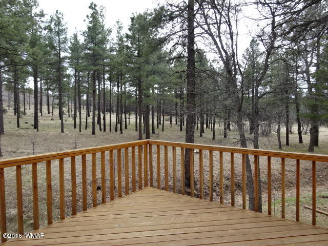 561-529 Rim Drive Pinedale, AZ 85934 - Photo 69 of 93