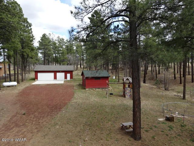 561-529 Rim Drive Pinedale, AZ 85934 - Photo 90 of 93