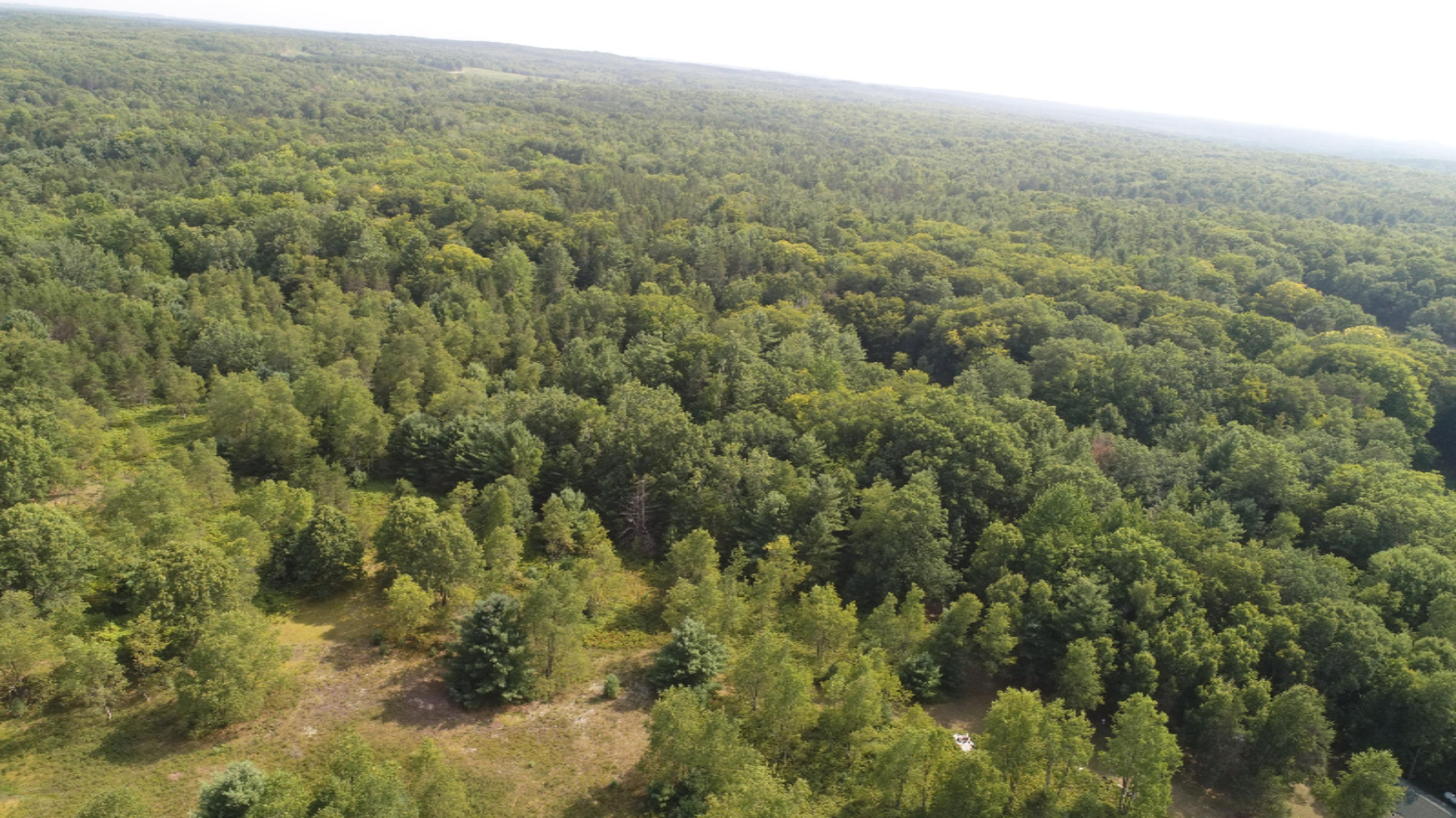 0 East 8th Street Reed City, MI 49677 - Photo 3 of 10 DJI_0017