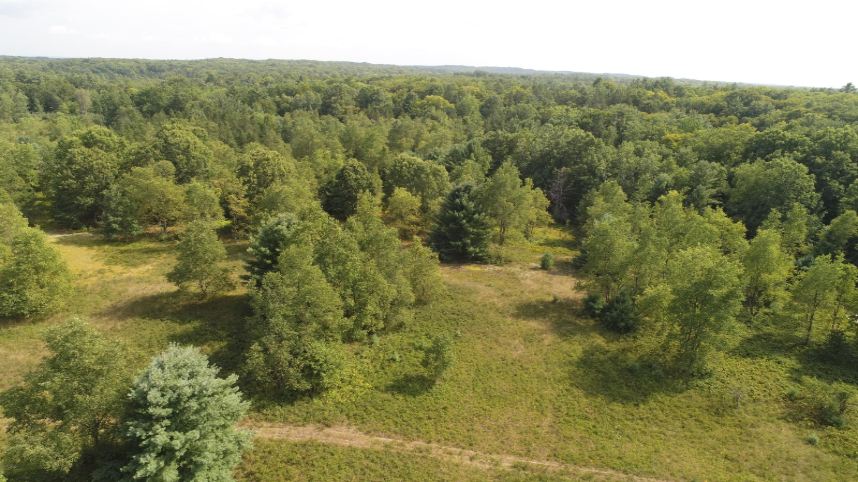 0 East 8th Street Reed City, MI 49677 - Photo 6 of 10 DJI_0020