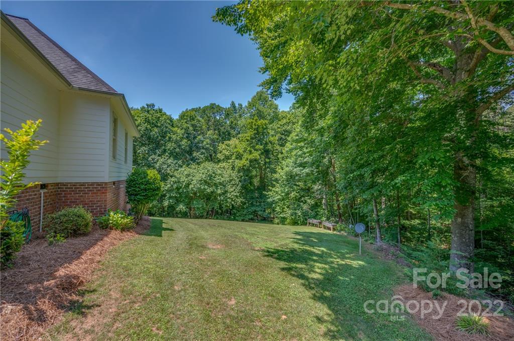 212 Ridgeview Drive Rutherfordton, NC 28139 - Photo 45 of 47 a view of a yard with plants and a bench