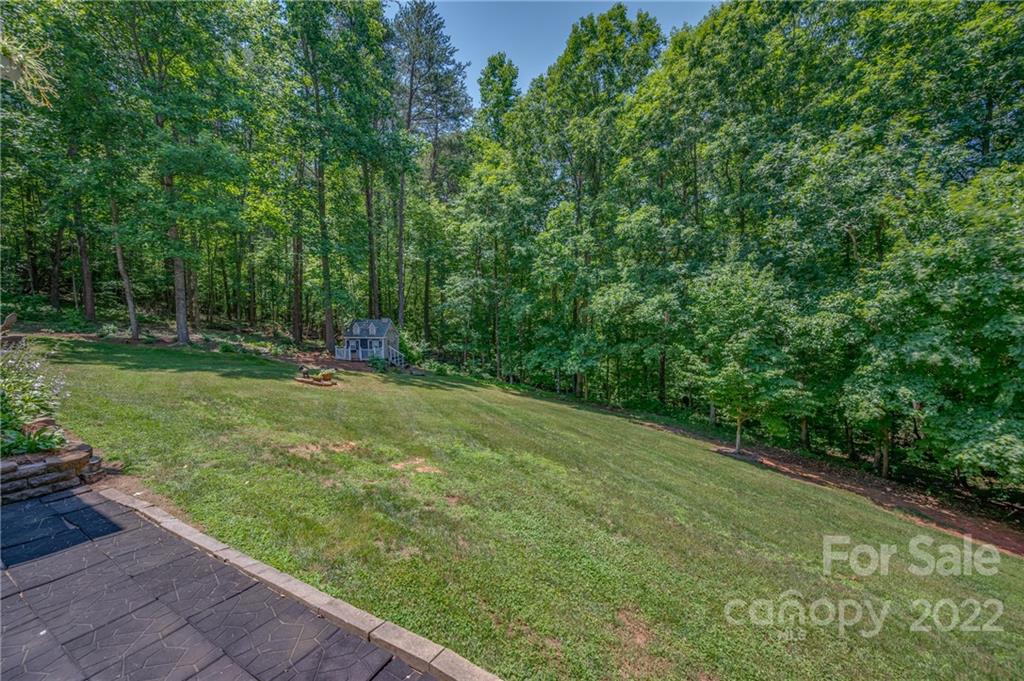 212 Ridgeview Drive Rutherfordton, NC 28139 - Photo 46 of 47 a view of a field with plants and a trees