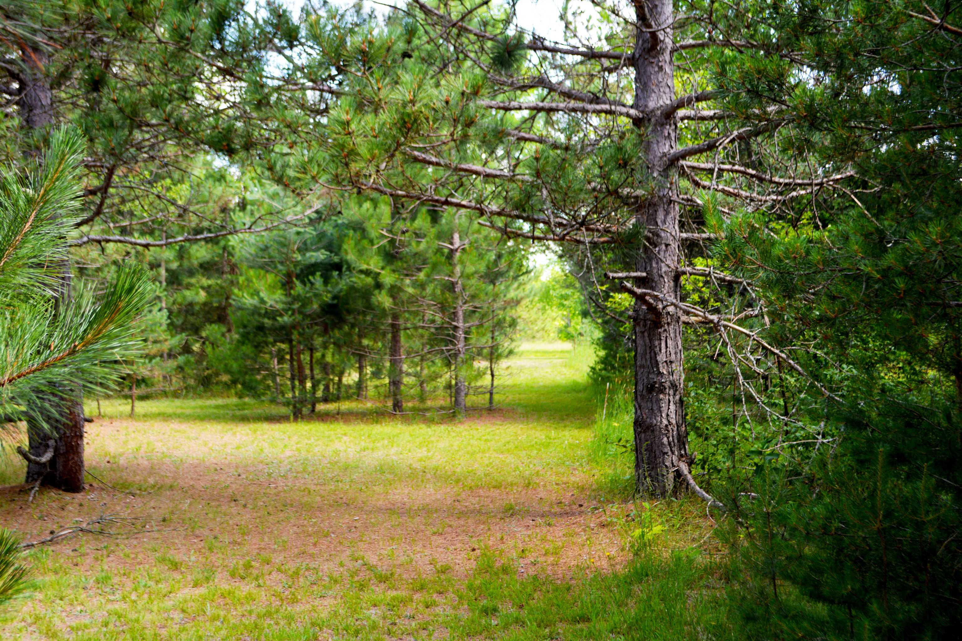 5483 Myers Road Northeast Kalkaska, MI 49646 - Photo 14 of 29 1913372-13.JPG