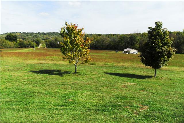 8460 Enterprise Road Mount Pleasant, TN 38474 - Photo 2 of 20 View of the cabin from the main house.