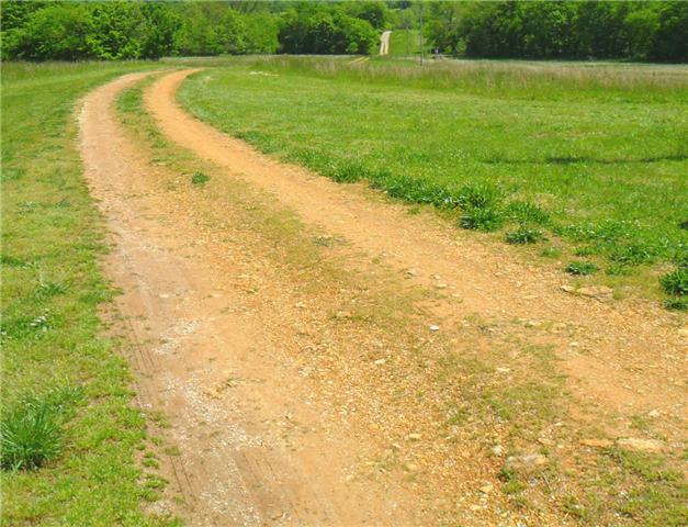8460 Enterprise Road Mount Pleasant, TN 38474 - Photo 19 of 20 Nice private driveway.