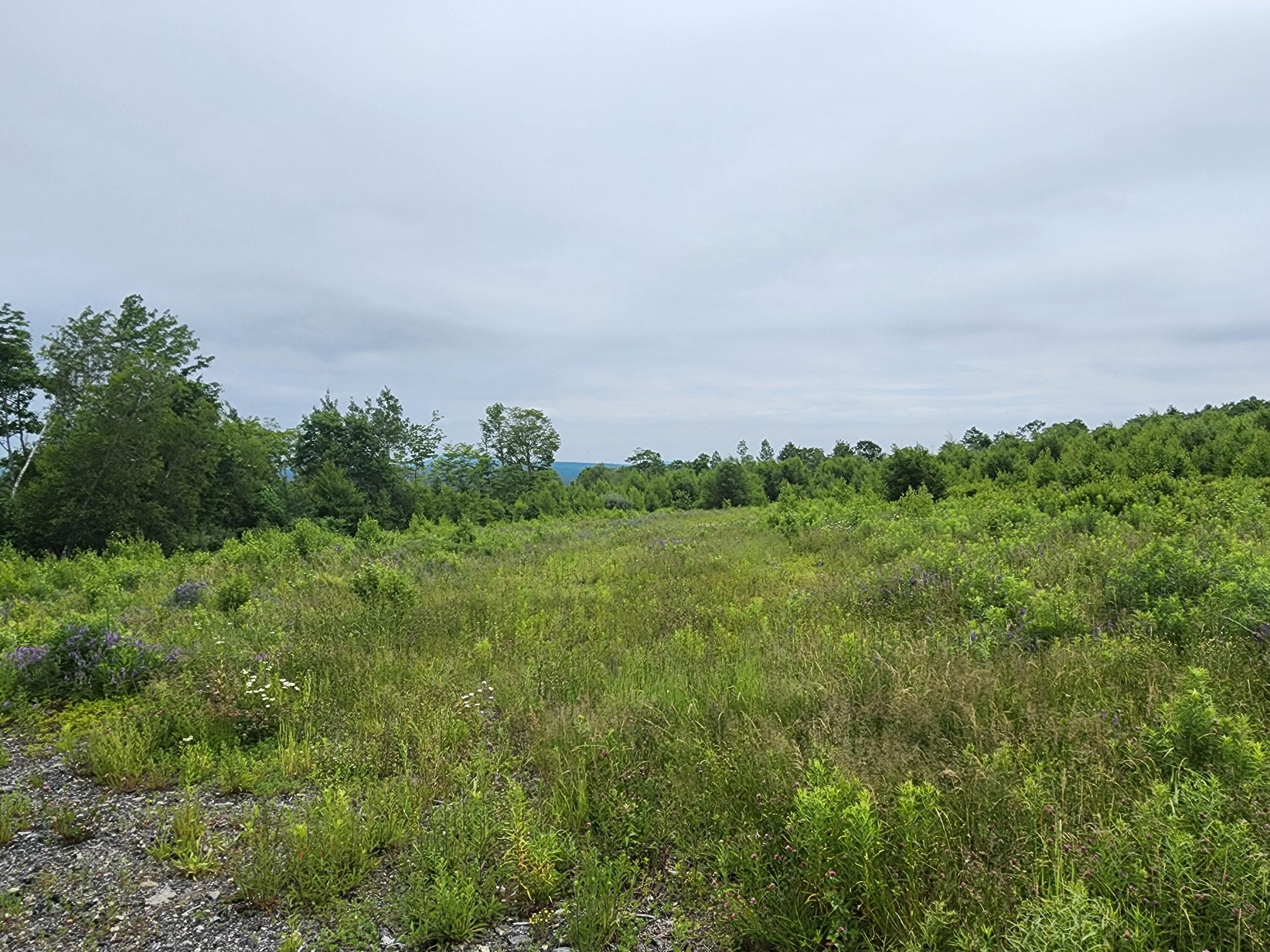 213 Moose Hl Road Ellsworth, ME 04605 - Photo 3 of 34 20250701_112709