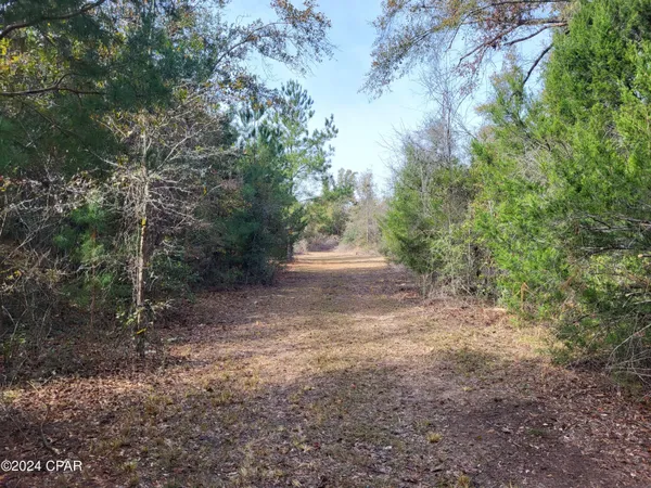 $39,900 | 0 Tommy Tucker Road, Unit LOT 4, Altha, FL 32421