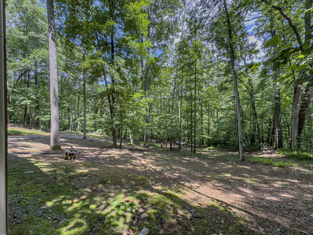 89 Box Turtle Lane Murphy, NC 28906 - Photo 13 of 55 a big yard with lots of green space and trees