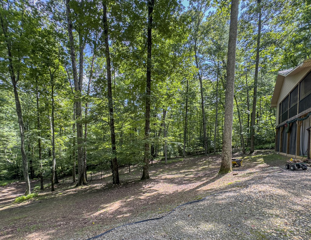 89 Box Turtle Lane Murphy, NC 28906 - Photo 15 of 55 a view of outdoor space and trees