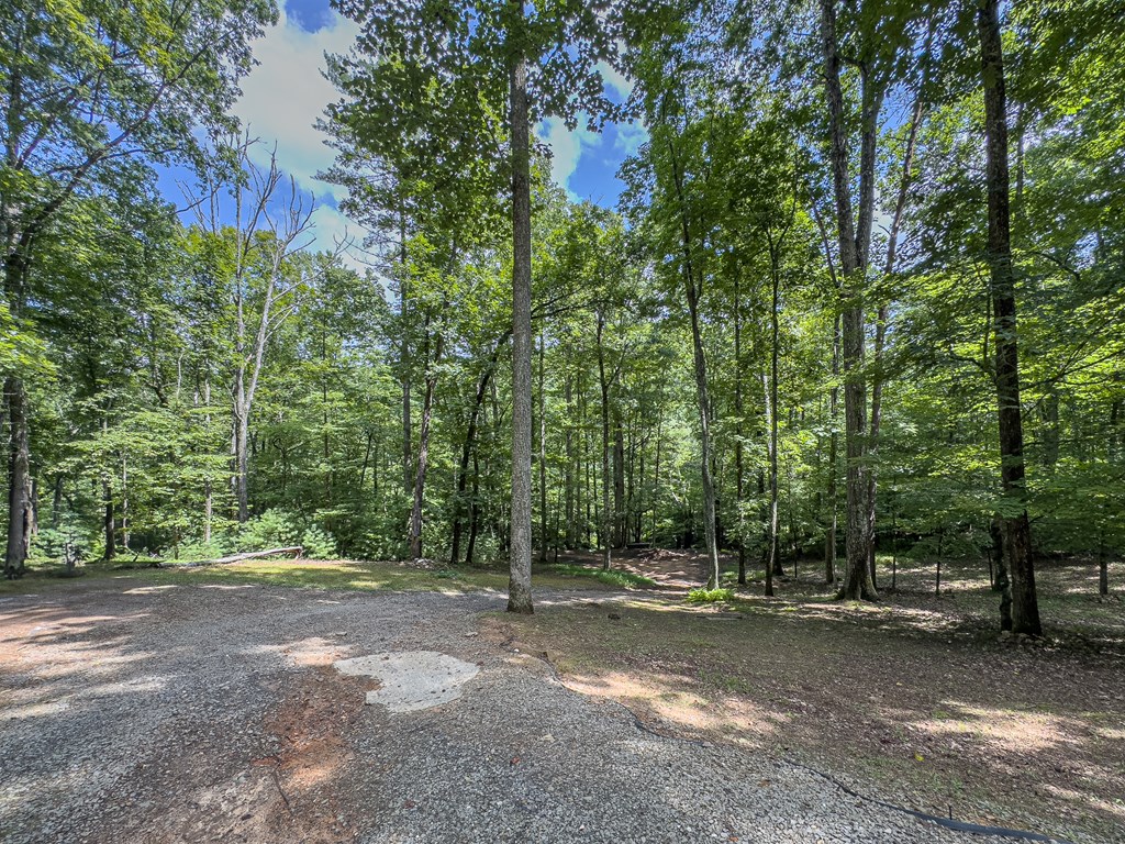 89 Box Turtle Lane Murphy, NC 28906 - Photo 16 of 55 a view of a field with trees in the background