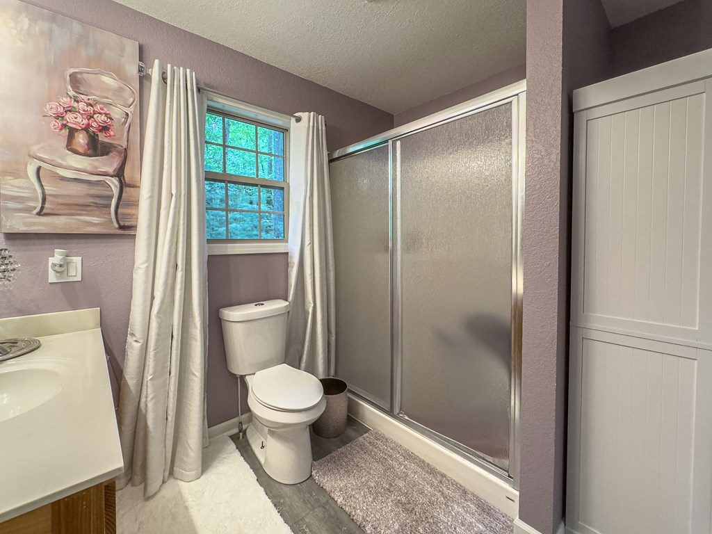 89 Box Turtle Lane Murphy, NC 28906 - Photo 18 of 55 a bathroom with a toilet and a shower
