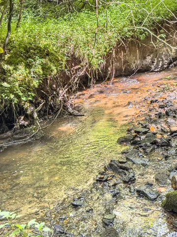 $350,000 | 89 Box Turtle Lane, Murphy, NC 28906