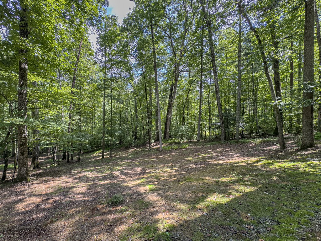 89 Box Turtle Lane Murphy, NC 28906 - Photo 9 of 55 a view of a field with trees in the background