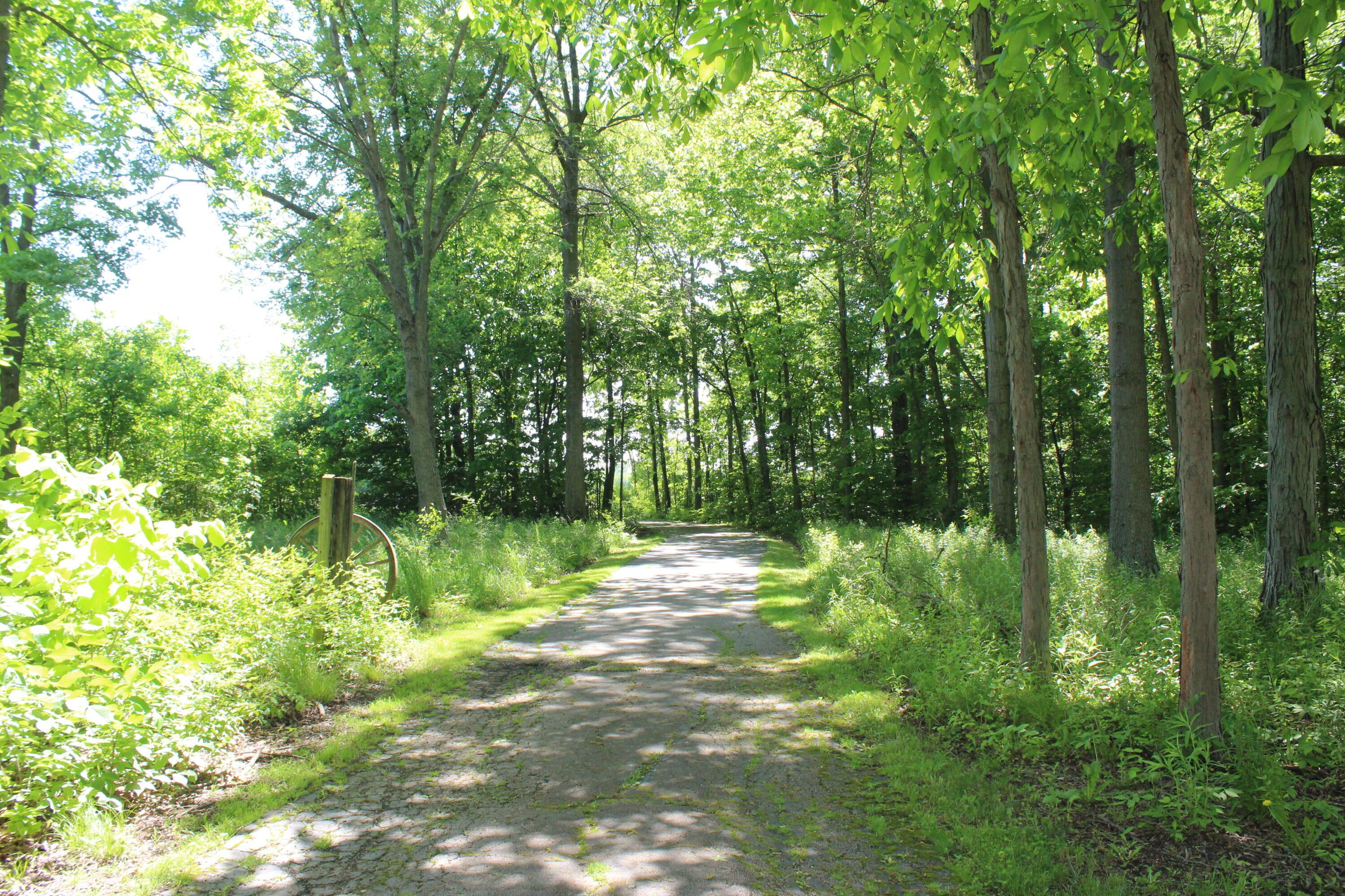 7560 Lamalie Road Green Springs, OH 44836 - Photo 37 of 55