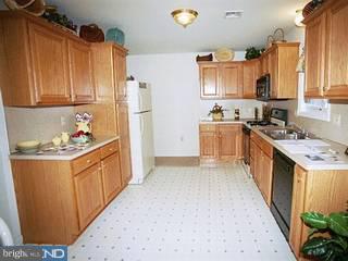2 Sefranka Road Temple, PA 19560 - Photo 2 of 2