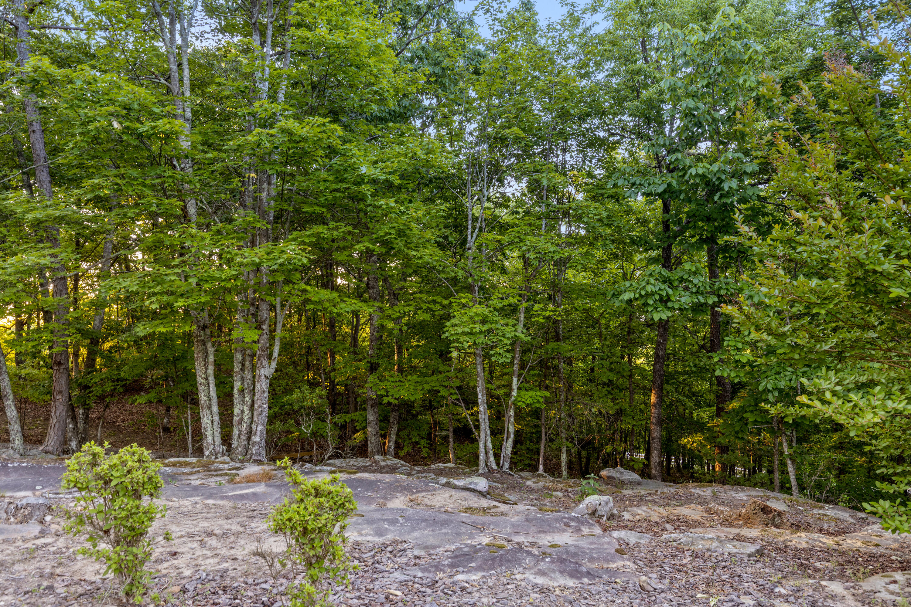 143 Tunnie Point Dunlap, TN 37327 - Photo 65 of 126 Tunnie-64