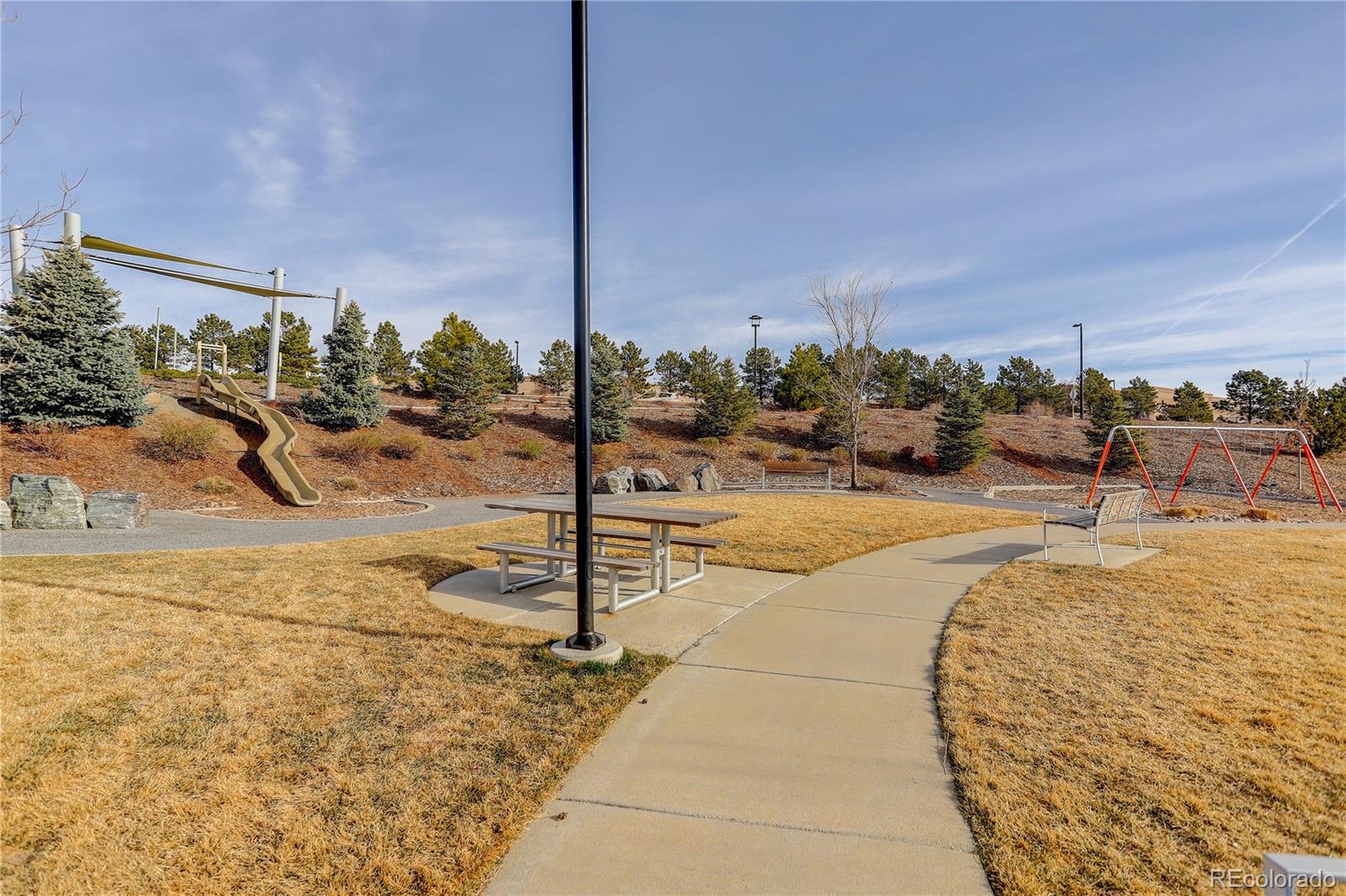 431 Courtfield Way Castle Pines, CO 80108 - Photo 49 of 49