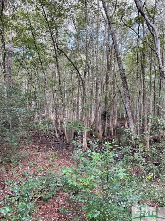 0 Old Augusta Road Clyo, GA 31303 - Photo 11 of 12