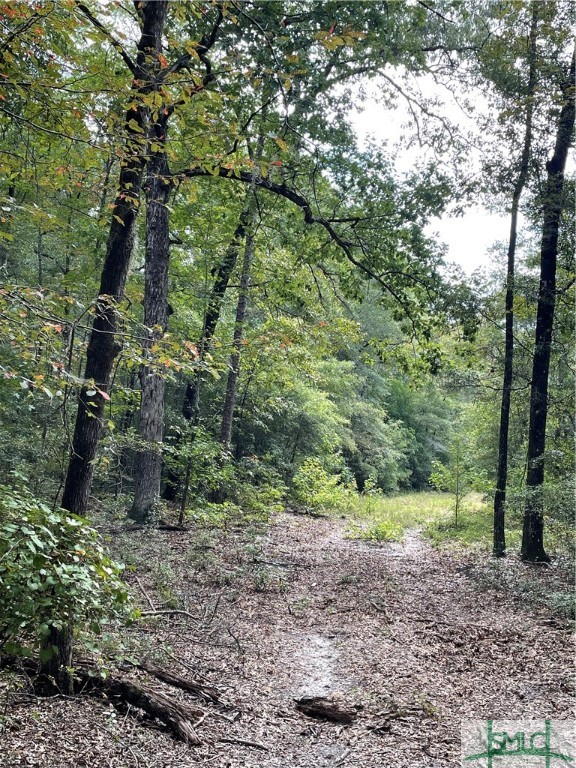 0 Old Augusta Road Clyo, GA 31303 - Photo 12 of 12
