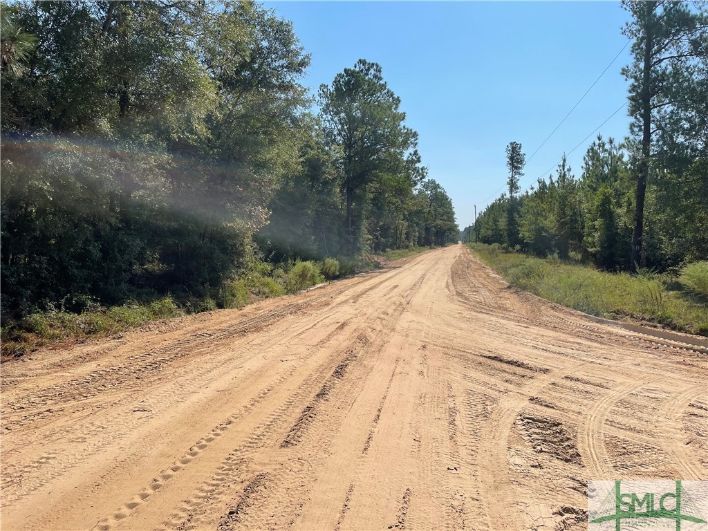 0 Old Augusta Road Clyo, GA 31303 - Photo 3 of 12