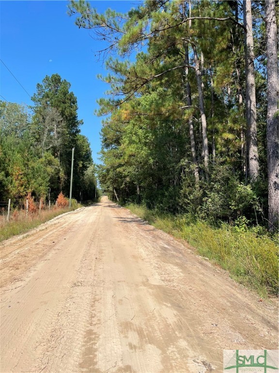 0 Old Augusta Road Clyo, GA 31303 - Photo 4 of 12