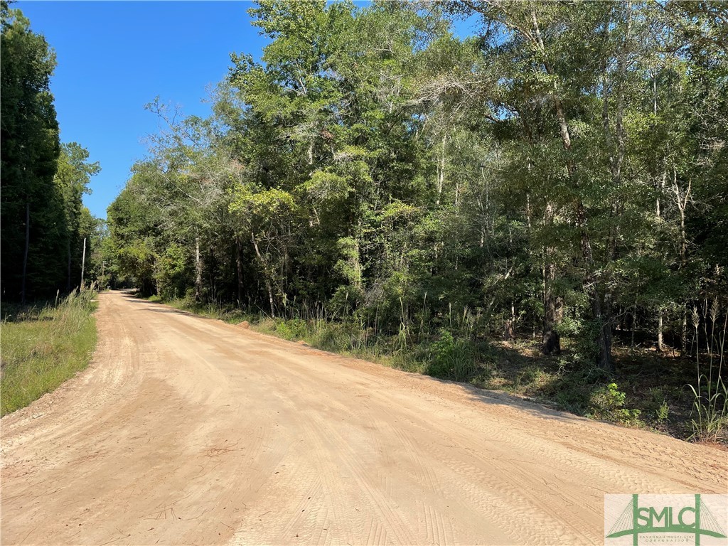 0 Old Augusta Road Clyo, GA 31303 - Photo 5 of 12
