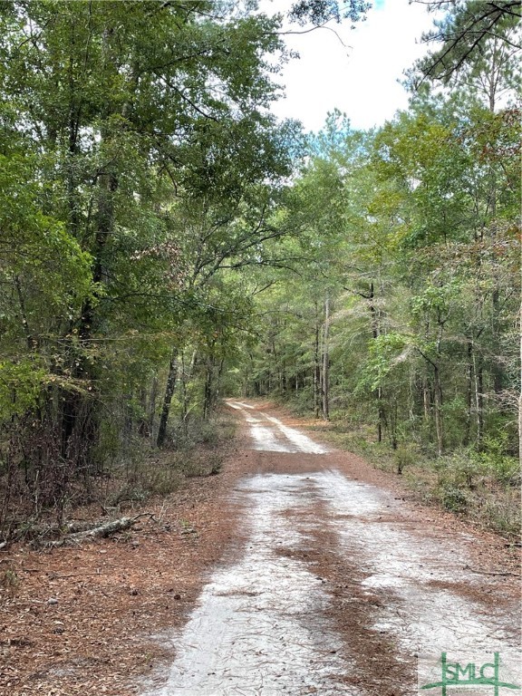 0 Old Augusta Road Clyo, GA 31303 - Photo 6 of 12