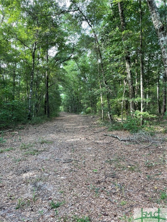 0 Old Augusta Road Clyo, GA 31303 - Photo 7 of 12