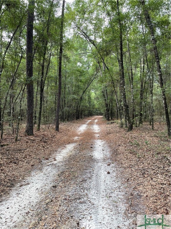 0 Old Augusta Road Clyo, GA 31303 - Photo 8 of 12