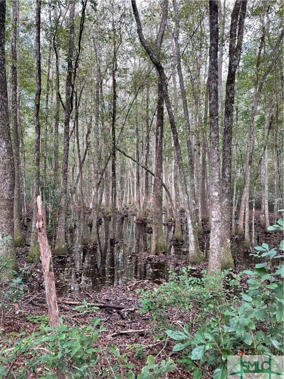 0 Old Augusta Road Clyo, GA 31303 - Photo 9 of 12