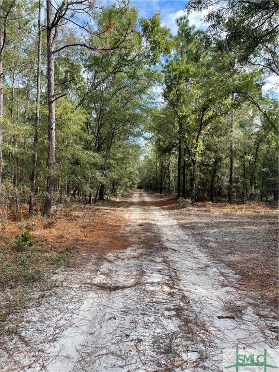 0 Old Augusta Road Clyo, GA 31303 - Photo 10 of 12