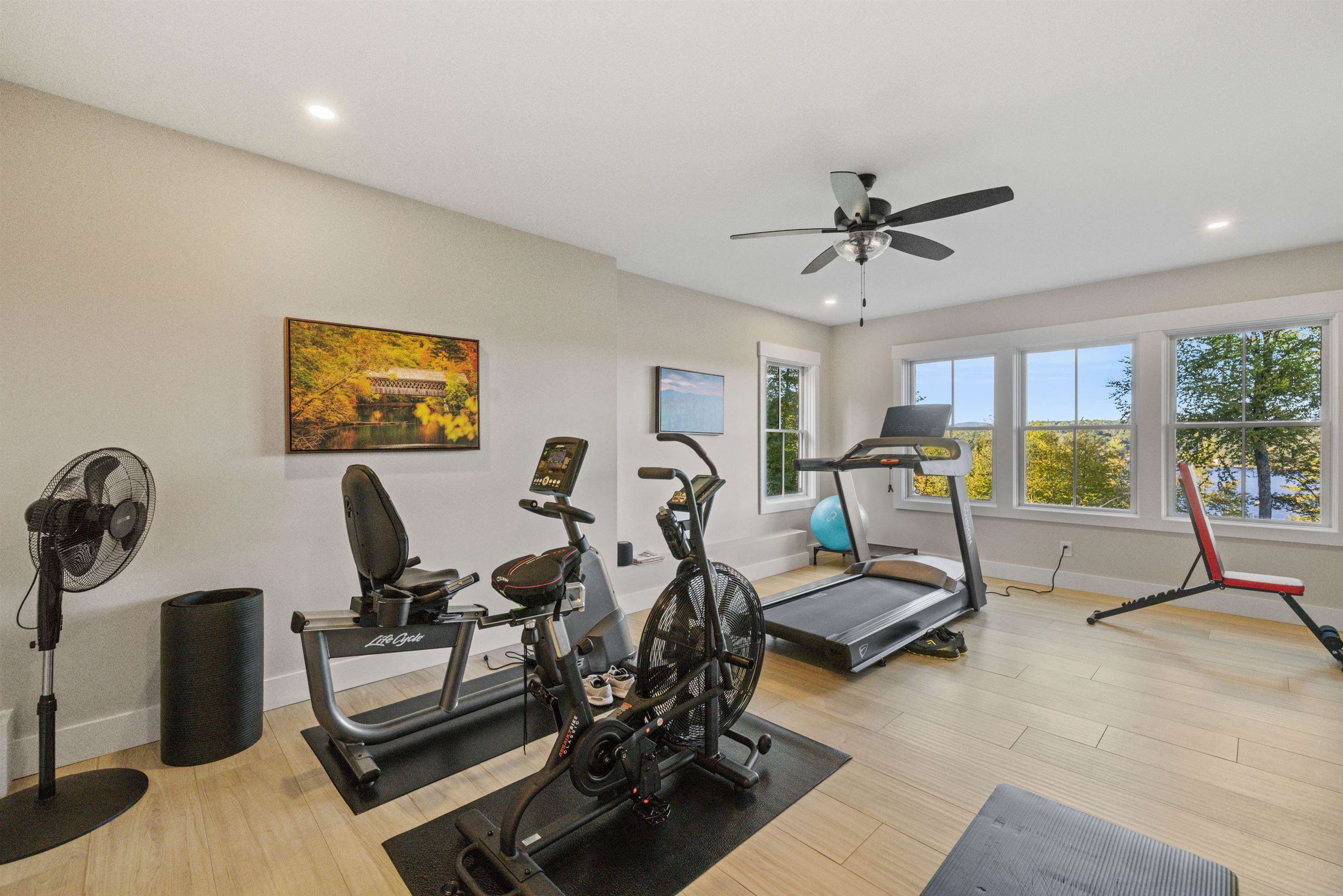 16 Bay Ridge Drive Meredith, NH 03253 - Photo 52 of 60