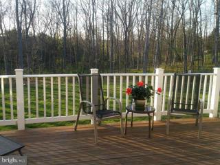 9075 Ribbon Falls Loop Bristow, VA 20136 - Photo 2 of 26 Relax on your deck overlooking the tress