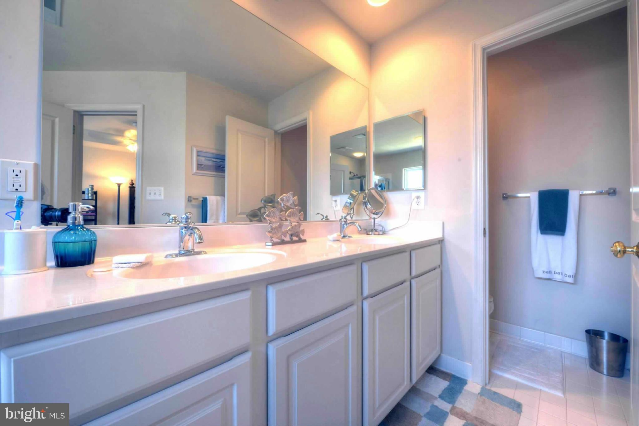 9075 Ribbon Falls Loop Bristow, VA 20136 - Photo 18 of 26 Bath (Master)