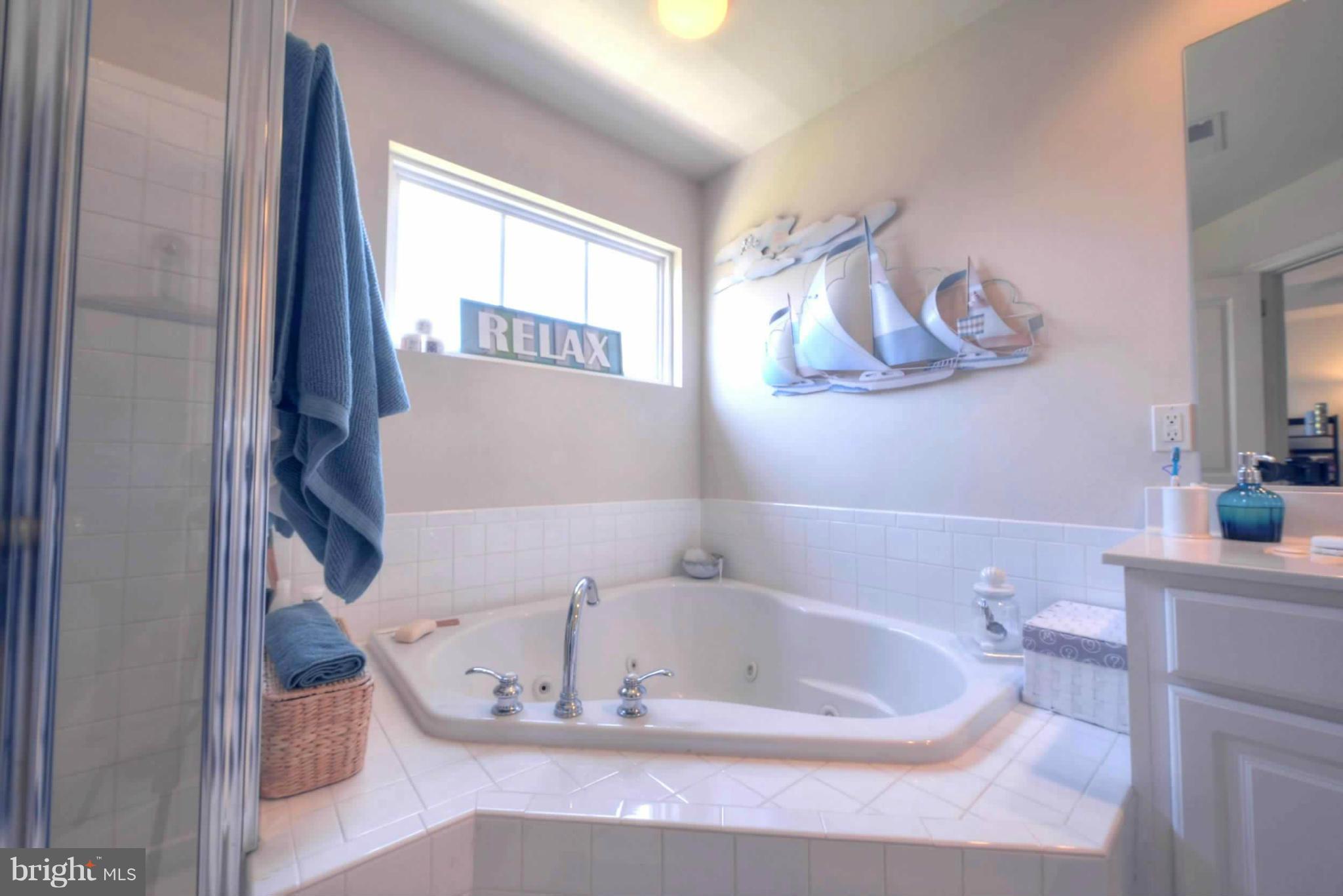 9075 Ribbon Falls Loop Bristow, VA 20136 - Photo 19 of 26 Bath (Master)