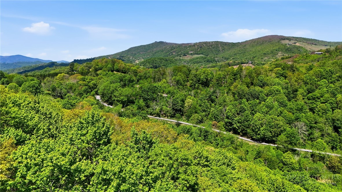 Lot#29 Snowridge Road Banner Elk, NC 28604 - Photo 8 of 8 Gallery Image 8