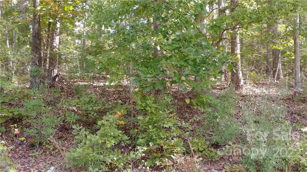516 Young Grove Road Blacksburg, SC 29702 - Photo 1 of 9