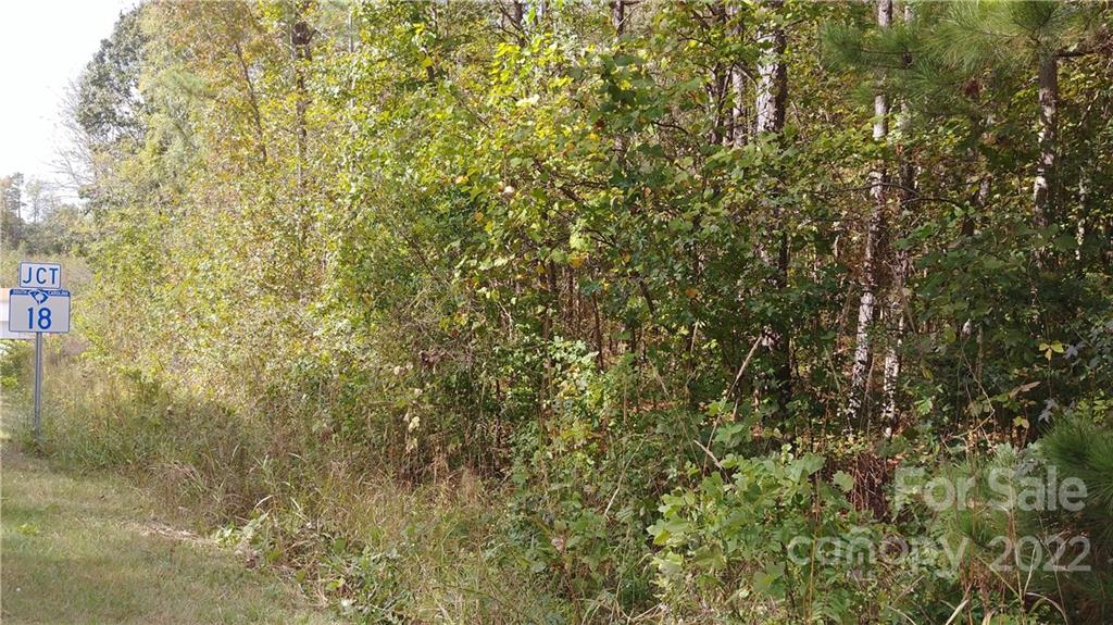 516 Young Grove Road Blacksburg, SC 29702 - Photo 4 of 9