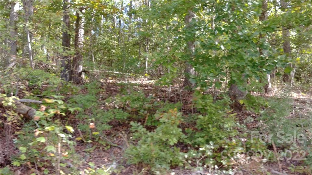 516 Young Grove Road Blacksburg, SC 29702 - Photo 5 of 9