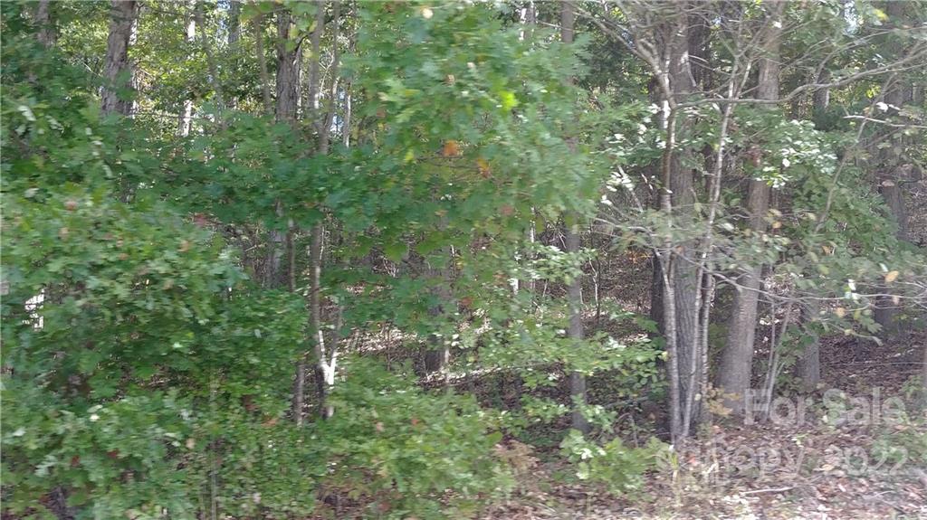 516 Young Grove Road Blacksburg, SC 29702 - Photo 6 of 9