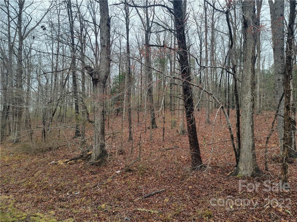 516 Young Grove Road Blacksburg, SC 29702 - Photo 7 of 9