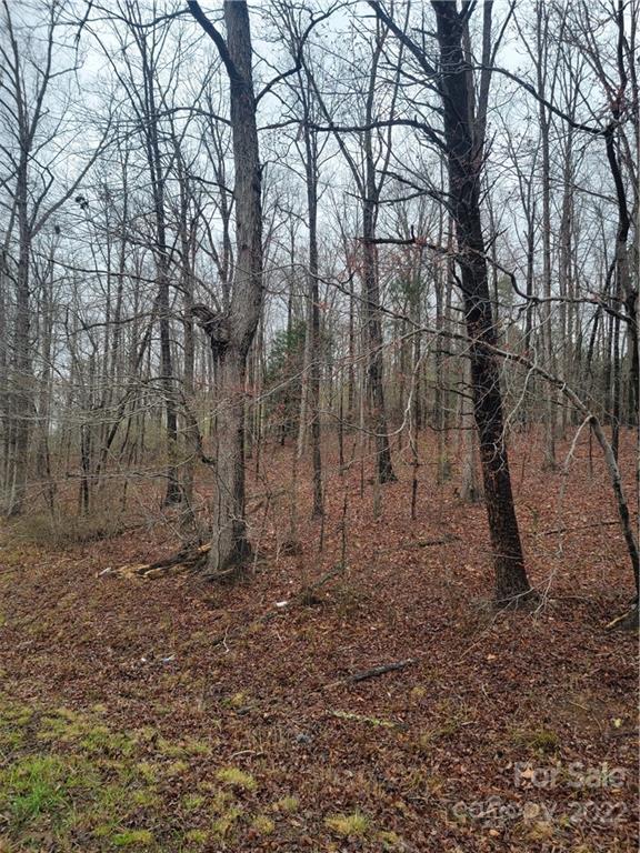 516 Young Grove Road Blacksburg, SC 29702 - Photo 8 of 9