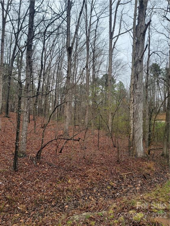 516 Young Grove Road Blacksburg, SC 29702 - Photo 9 of 9