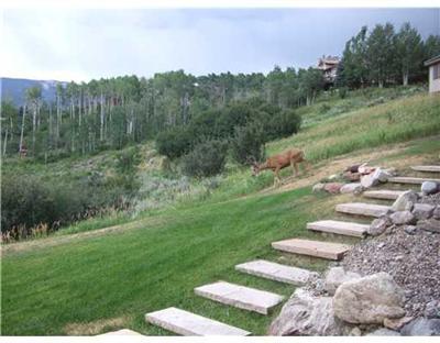 644 Eagle Crest Road Edwards, CO 81632 - Photo 11 of 14 Additional Photo