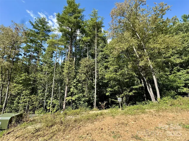 $125,000 | 10 Freshwater Cove, Maggie Valley, NC 28751